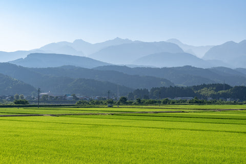 Tsubame-Sanjo, en la prefectura de Niigata