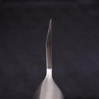 Deba All-Stainless Pure-Molybdenum 210mm-[Musashi]-[Japanese-Kitchen-Knives]