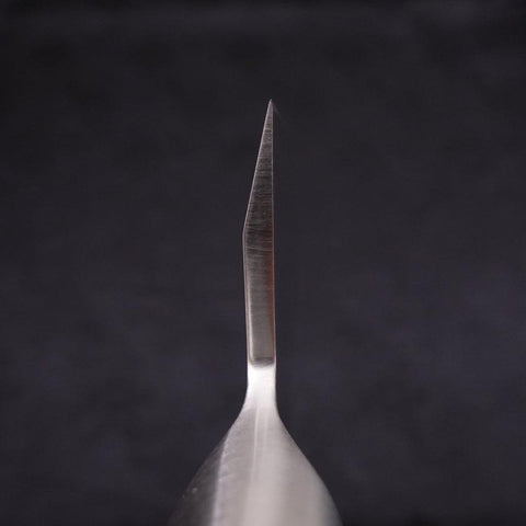 Deba All-Stainless Pure-Molybdenum 210mm-[Musashi]-[Japanese-Kitchen-Knives]