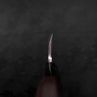 Deba White Steel #2 Kasumi Chokin Gold Sakura-Fuji Buffalo Ebony Handle 165mm-[Musashi]-[Japanese-Kitchen-Knives]