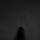 Gyuto Blue Steel #2 Kurouchi Chokin Koi Buffalo Ebony Handle 210mm-[Musashi]-[Japanese-Kitchen-Knives]