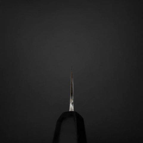 Gyuto Blue Steel #2 Kurouchi Stainless Clad Chokin Sakura-Fuji Buffalo Ebony Handle 210mm-[Musashi]-[Japanese-Kitchen-Knives]
