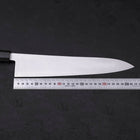 Gyuto HAP-40 Polished Buffalo Ebony Handle 270mm-[Musashi]-[Japanese-Kitchen-Knives]