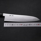 Gyuto VG-10 Damascus Gray Birch Handle 210mm (8.3”)-[Musashi]-[Japanese-Kitchen-Knives]