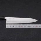 Gyuto ZDP-189 Polished Buffalo Chestnuts Handle 210mm (8.3”)-[Musashi]-[Japanese-Kitchen-Knives]