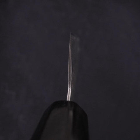 Kiritsuke AUS-10 Tsuchime Damascus Buffalo Magnolia Handle 210mm-[Musashi]-[Japanese-Kitchen-Knives]
