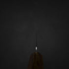 Kiritsuke Gyuto Blue Steel #2 Polished Stainless Clad Olive Handle 210mm-[Musashi]-[Japanese-Kitchen-Knives]