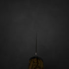 Kiritsuke Gyuto SG-2 Damascus Western Golden Ebony Handle 210mm-[Musashi]-[Japanese-Kitchen-Knives]