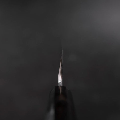 Kiritsuke Gyuto VG-10 Mirror Buffalo Ebony Handle 240mm-[Musashi]-[Japanese-Kitchen-Knives]