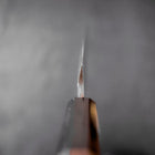 Kiritsuke Yanagiba Blue Steel #2 Kurouchi Buffalo Wenge Handle 270mm-[Musashi]-[Japanese-Kitchen-Knives]
