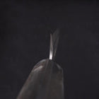 Petty Stainless Clad White Steel #2 Tsuchime Ocean Black Handle 135mm-[Musashi]-[Japanese-Kitchen-Knives]