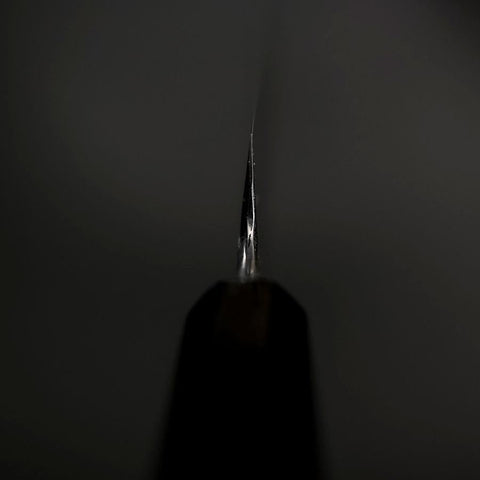 Sakimaru Takohiki Blue Steel #2 Kasumi Buffalo Ebony Handle 320mm-[Musashi]-[Japanese-Kitchen-Knives]