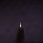 Takohiki Stainless Clad Blue Steel #2 Buffalo Ebony Handle 360mm-[Musashi]-[Japanese-Kitchen-Knives]