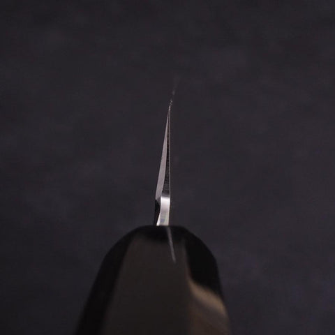 Yanagi Kiritsuke Silver Steel #3 Mirror Buffalo Ebony Handle 270mm-[Musashi]-[Japanese-Kitchen-Knives]