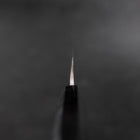 Yanagi Kiritsuke VG-10 Kasumi Buffalo Ebony Handle 250mm-[Musashi]-[Japanese-Kitchen-Knives]