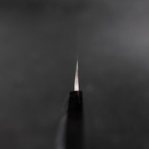 Yanagi Kiritsuke VG-10 Kasumi Buffalo Ebony Handle 250mm-[Musashi]-[Japanese-Kitchen-Knives]