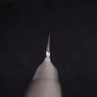 Yanagiba All-Stainless Pure-Molybdenum 270mm-[Musashi]-[Japanese-Kitchen-Knives]