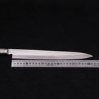 Yanagiba All-Stainless Pure-Molybdenum 270mm-[Musashi]-[Japanese-Kitchen-Knives]