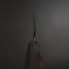 Yanagiba Blue Steel #2 Damascus Buffalo Ebony Handle 210mm (8.3”)-[Musashi]-[Japanese-Kitchen-Knives]