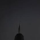 Yanagiba Blue Steel #2 Kurouchi Buffalo Ebony Handle 290mm-[Musashi]-[Japanese-Kitchen-Knives]