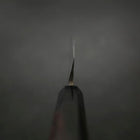 Yanagiba Blue Steel #2 Suminagashi Buffalo Ebony Handle 300mm (11.8”)-[Musashi]-[Japanese-Kitchen-Knives]