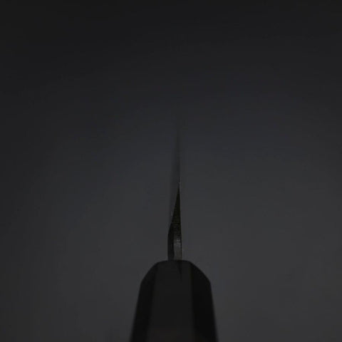 Yanagiba Blue Steel #2 Tsuchime Kurouchi Buffalo Ebony Handle 260mm-[Musashi]-[Japanese-Kitchen-Knives]