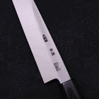 Yanagiba Blue Steel #2 Kasumi Buffalo Handle 240mm-[Musashi]-[Japanese-Kitchen-Knives]