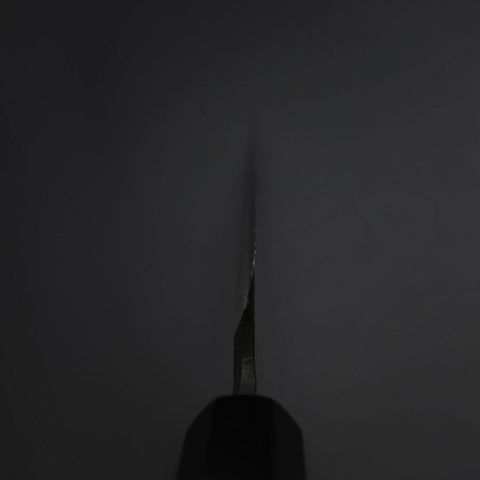 Yanagiba Blue Steel #2 Kurouchi Buffalo Ebony Handle 260mm-[Musashi]-[Japanese-Kitchen-Knives]