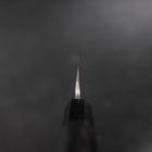 Yanagiba VG-10 Kasumi Buffalo Ebony Handle 300mm-[Musashi]-[Japanese-Kitchen-Knives]